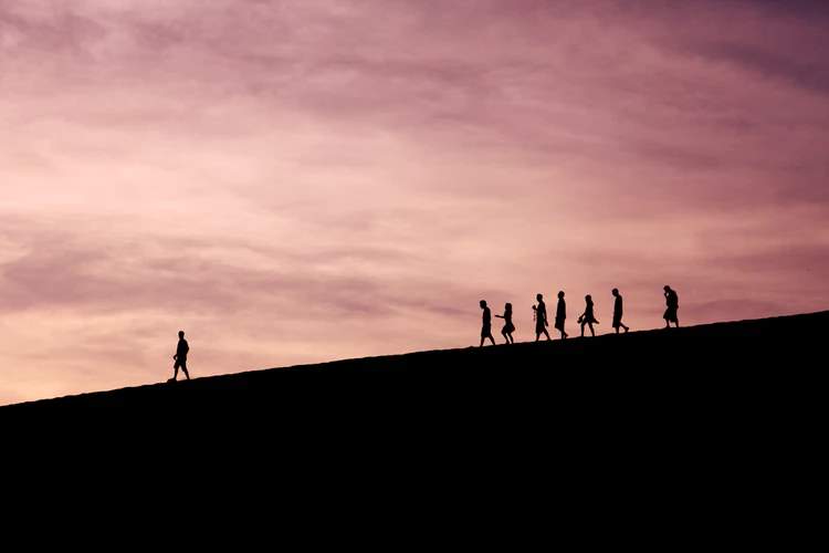 Leaders and Followers